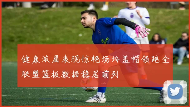 健康浓眉表现惊艳场均盖帽领跑全联盟篮板数据稳居前列