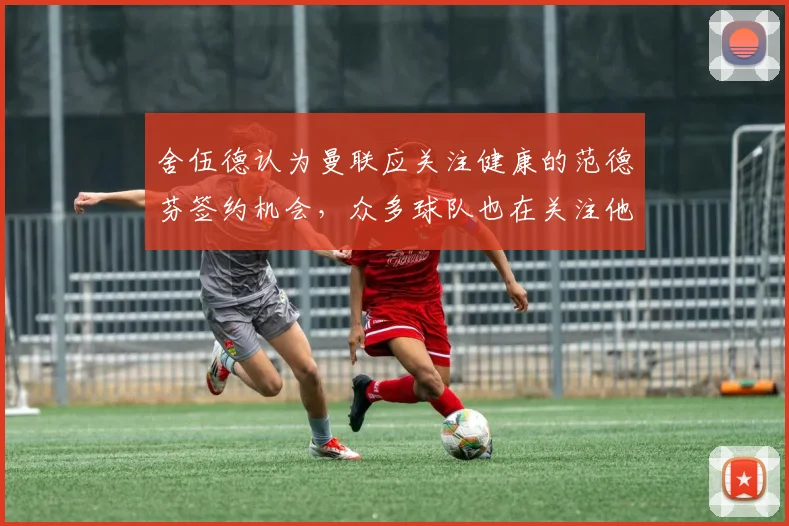 舍伍德认为曼联应关注健康的范德芬签约机会，众多球队也在关注他