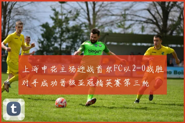 上海申花主场迎战首尔FC以2-0战胜对手成功晋级亚冠精英赛第三轮
